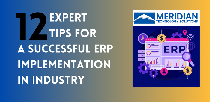 12 Expert Tips for a Successful ERP Implementation in Industry