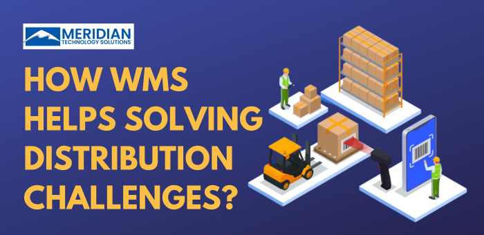 How WMS Helps Solving Distribution Challenges?
