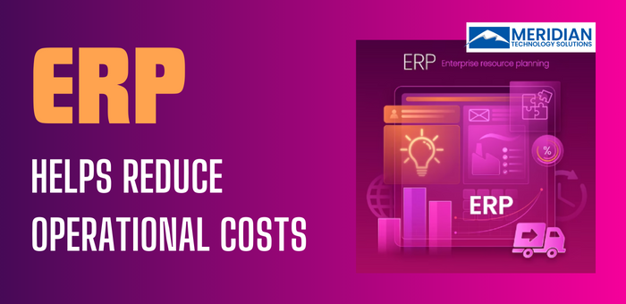 How ERP Helps Reduce Operational Costs?